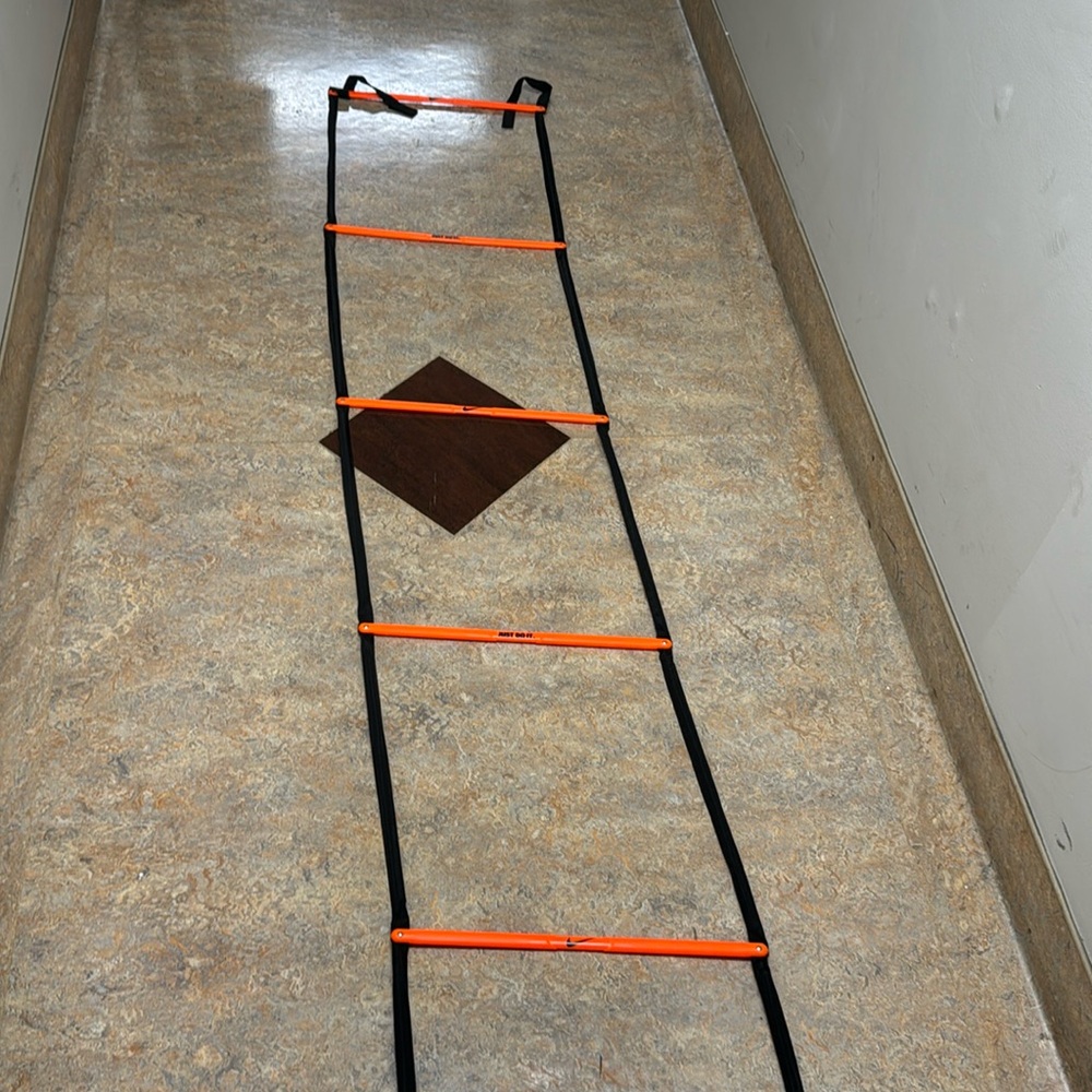 Exercise ladder
